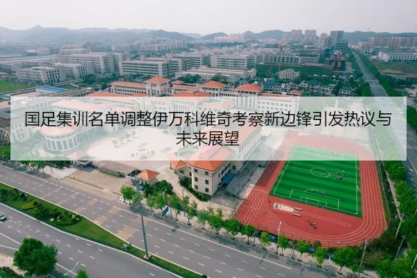 国足集训名单调整伊万科维奇考察新边锋引发热议与未来展望